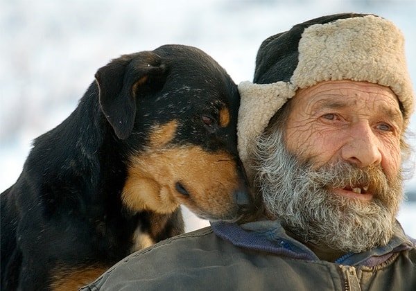 Собака в жизни пожилого человека – это не только друг! 