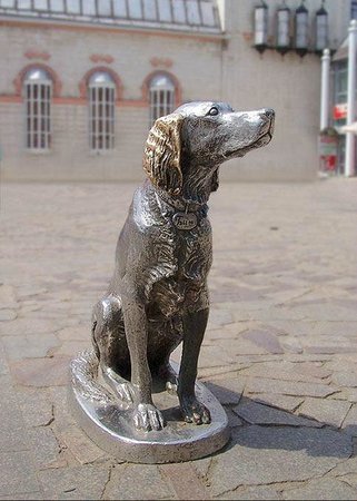 Памятник собаке: литературные герои и не только