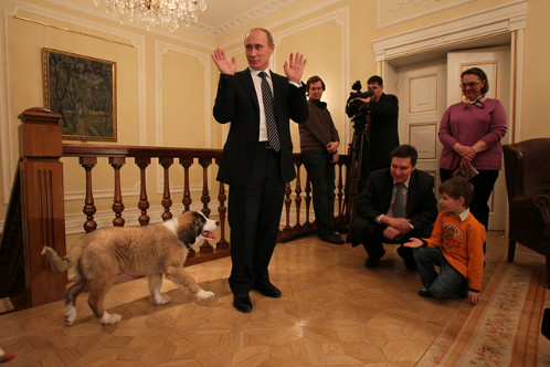 Дима Соколов предложил для собаки премьера кличку Баффи.