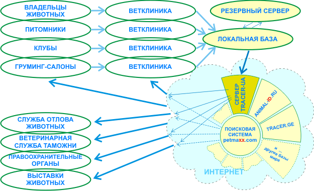 Чип для собак