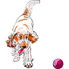 Собака кокер-спаниель играет с красным мячом | Векторный клипарт