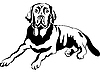 Собака породы лабрадор ретривер | Векторный клипарт
