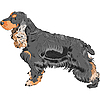 Собака черный кокер спаниель | Векторный клипарт
