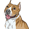 Собаки Американский стаффордширский терьер породы | Векторный клипарт