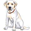 Эскиз желтой собаки породы лабрадор ретривер сидя | Векторный клипарт