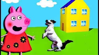Мультики Свинка Петта и Джордж принесли в дом Собаку Мультфильмы для детей на русском