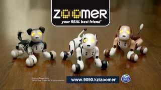 Собака робот Zoomer с хорошей скидкой и бесплатной доставкой