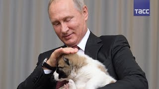 Верный алабай Путина