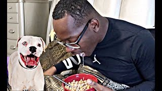 "DOG FOOD CEREAL PRANK" ON HUSBAND | THE PRINCE FAMILY
