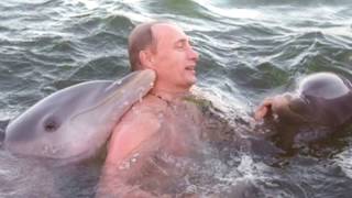 Путин и животные - видеообзор