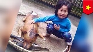 5-летняя девочка нашла свою собаку на рынке собачьего мяса