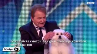 Говорящая собака на шоу талантов в Британии