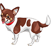 Эскиз собаки породы чихуахуа | Векторный клипарт