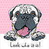 Забавный мультяшный собака бульмастиф заниженной талией | Векторный клипарт