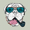 Забавный мультяшный собака бульмастиф заниженной талией | Векторный клипарт