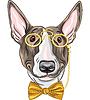 Забавный мультяшный битник собака Бультерьер | Векторный клипарт