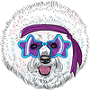 Забавный мультяшный хипстер собака бишон Star Disco | Векторный клипарт