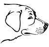 Ретривер собака морда | Векторный клипарт