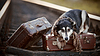 Собака лежит на чемоданах на рельсы | Фото