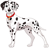 Симпатичная собака далматин | Векторный клипарт