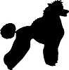 Силуэт собаки Пудель порода | Векторный клипарт