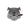 Злая собака с сигарой. Агрессивный бульдог | Векторный клипарт