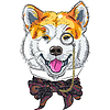 Забавный мультяшный хипстеров собака Акита-ину | Векторный клипарт