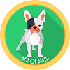 Собака Лучший Представитель Породы медаль значок плоской конструкции | Векторный клипарт
