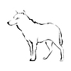 Волк силуэт. Логотип. илл | Векторный клипарт