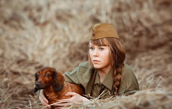 Обои коса, фотограф Светлана Никотина, солдат, девушка, пилотка, такса, сено, Наталья Емельянова, взгляд, собака