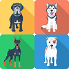 Набор иконок 9 собака плоский дизайн | Векторный клипарт