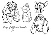 Портреты собак разных пород | Векторный клипарт
