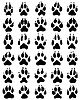 Черный отпечаток лап собак | Векторный клипарт
