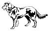 Декоративный портрет собаки (пастух) | Векторный клипарт