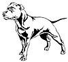 Декоративный портрет собаки Стаффордшир | Векторный клипарт