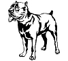 Декоративный портрет собаки Cane corso | Векторный клипарт