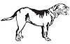 Декоративный портрет собаки Dogue de | Векторный клипарт