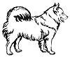 Декоративный портрет собаки Samoyed | Векторный клипарт