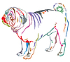 Красочный декоративный портрет портрет собака мопс | Векторный клипарт