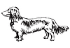 Декоративный стоячий портрет собаки длинноволосого | Векторный клипарт