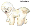Цветной декоративный портрет собаки Бишон | Векторный клипарт