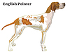 Цветной декоративный стоячий портрет собаки | Векторный клипарт