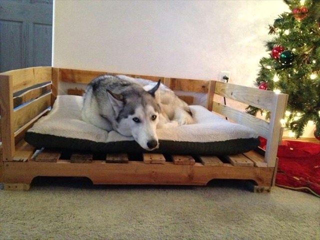 Мебель из поддонов для собаки