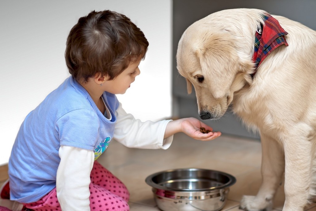 В воспитании неагрессивной собаки активное участие могут принимать дети