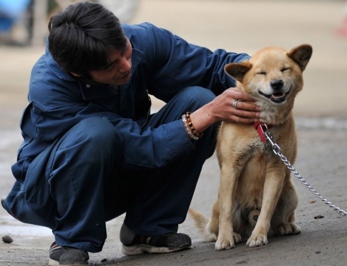 Поглаживания и ласки хозяина - лучшая похвала для собаки за выполнение команд хозяина