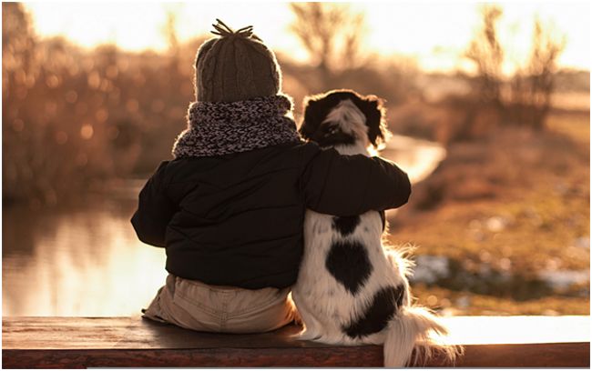 дружба ребенка и собаки