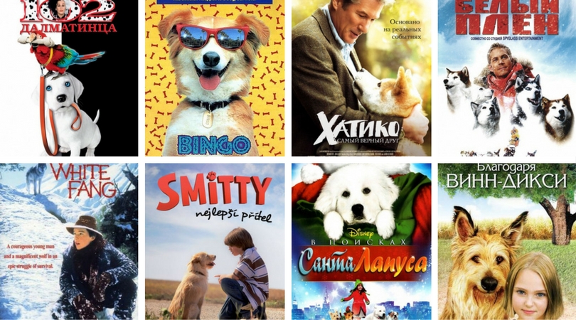 Хорошие фильмы про собак.