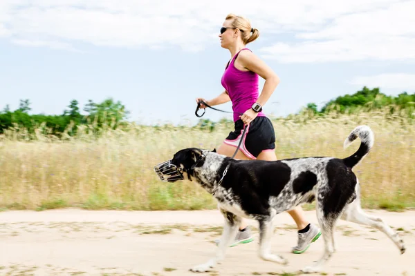 Женщина бегун, бег, ходьба собаки в летом природа — стоковое фото