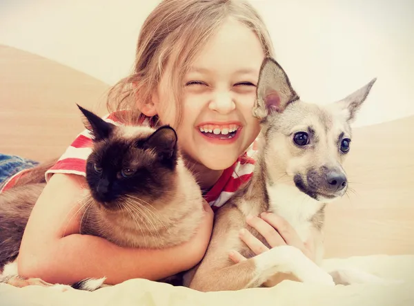 Ребенок, обнимая кота и собаки — стоковое фото