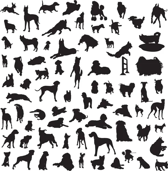 Велику кількість різних силуетів собак — стоковий вектор